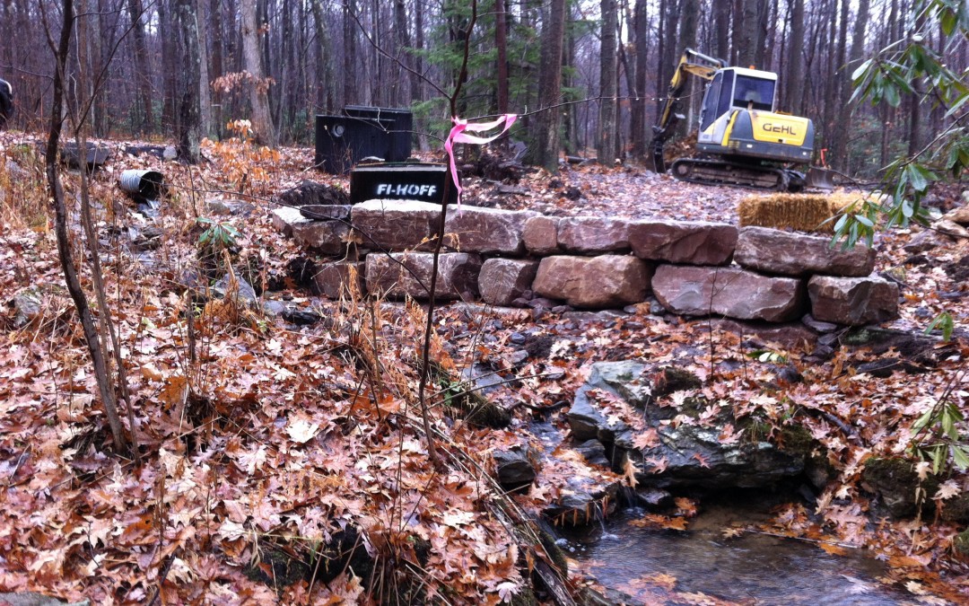 Cassleman River Watershed Project